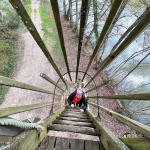 Cabane perchée en bois, vue plongeante sur un chemin et une rivière en Auvergne-Rhône-Alpes.