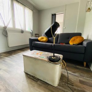Hébergement insolite à Champagne-Ardennes : salon moderne avec canapé et lampe élégante.