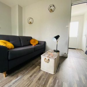 Hébergement insolite à Champagne-Ardennes : salon moderne avec canapé noir et coussins colorés.