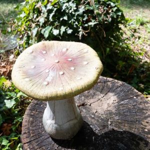 Hébergement insolite à Champagne-Ardennes : champignon géant sur un tronc en bois.