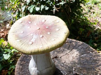 Hébergement insolite à Champagne-Ardennes : champignon géant sur un tronc en bois.