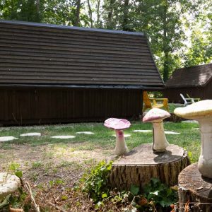 Cabane en bois à Champagne-Ardenne, avec des champignons décoratifs en avant-plan.