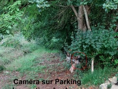 Hébergement insolite en Aquitaine, entouré darbres verdoyants et paisibles.