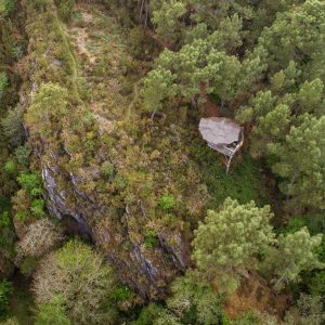 Cabane perchée dans les arbres, entourée de verdure en Bretagne. Vue imprenable sur la nature.