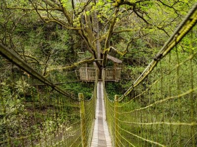 Cabane dans les arbres en Bretagne, accessible par un pont suspendu verdoyant.