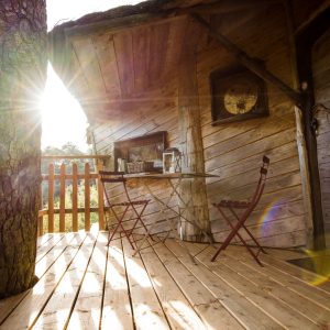 Cabane perchée en Bretagne, avec une terrasse en bois et un arbre majestueux.