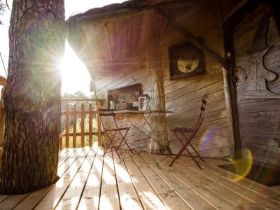 Cabane perchée en Bretagne, avec une terrasse en bois et un arbre majestueux.