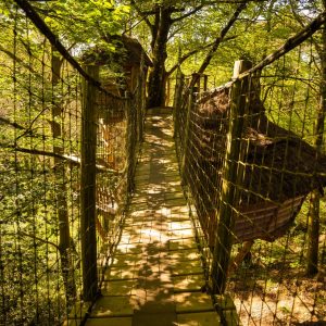 Cabane perchée en Bretagne, accessible par un pont suspendu au cœur de la forêt.