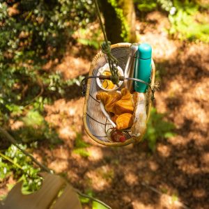 Panier suspendu dans les arbres, offrant un petit-déjeuner en pleine nature.
