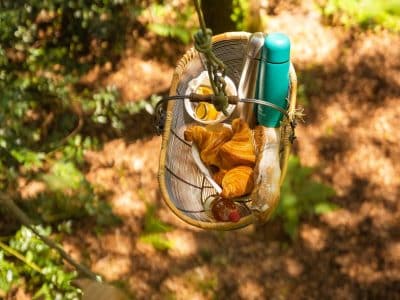 Panier suspendu dans les arbres, offrant un petit-déjeuner en pleine nature.