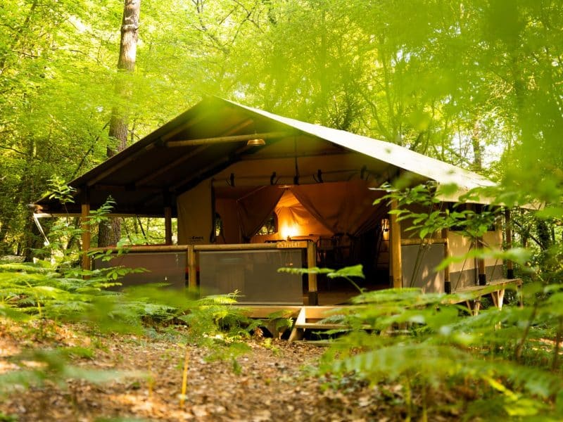 Tente safari en pleine forêt, entourée de verdure et baignée de lumière douce.
