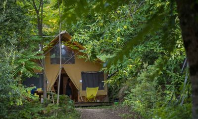 Lodge Trappeur
