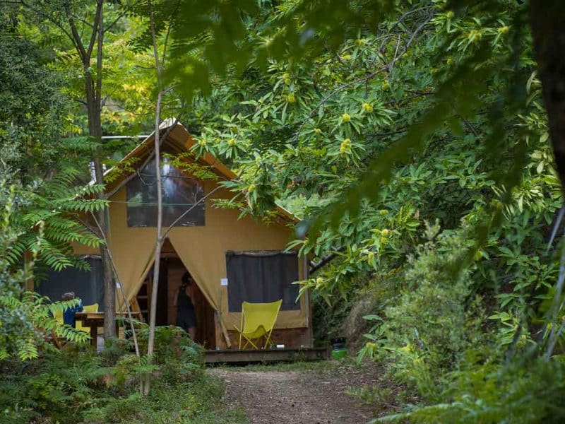 Cabane en bois nichée dans la verdure, avec chaises jaunes et ambiance nature.