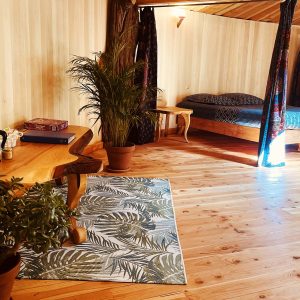 Hébergement insolite en Languedoc-Roussillon : chambre chaleureuse avec lit et plantes.