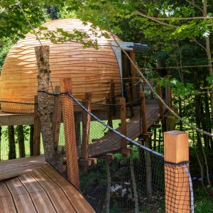 Cabane en bois perchée dans les arbres, entourée de verdure luxuriante.