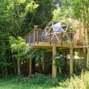 Cabane perchée en bois avec une grande terrasse, entourée darbres verdoyants.