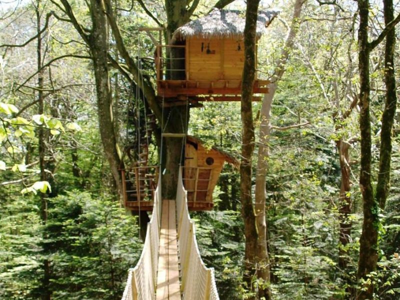 Cabane dans les arbres, perchée entre les feuillages, accessible par une passerelle en bois.