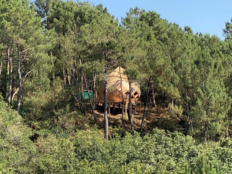 Cabane perchée en bois, nichée parmi les arbres en Bretagne, offrant une vue verdoyante.