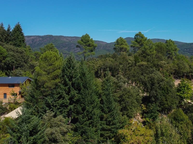 Chalet en bois entouré de verdure, offrant une vue imprenable sur les montagnes.