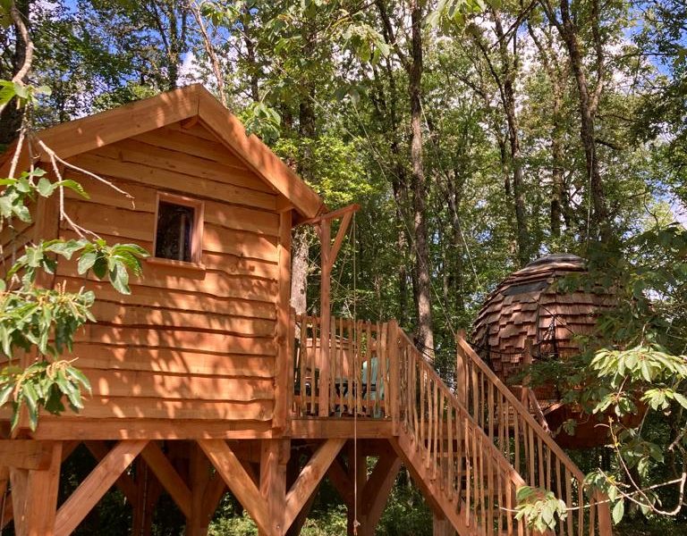 Cabane en bois perchée dans les arbres, entourée de verdure luxuriante.