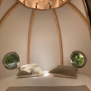 Hébergement insolite en forme de bulle, avec un toit en bois et fenêtres rondes.