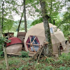 Dôme géodésique en bois, niché parmi les arbres du Limousin, offrant une expérience unique.