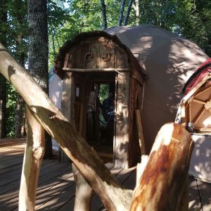 Dôme en bois dans les arbres, offrant une expérience unique en pleine nature.