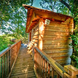 Cabane perchée en bois, accessible par un chemin en bois, entourée darbres verdoyants.