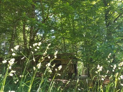 Hébergement insolite en cabane, niché dans une verdure luxuriante et apaisante.