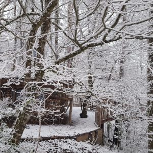 Cabane perchée dans les arbres, entourée de neige et de branches enneigées.