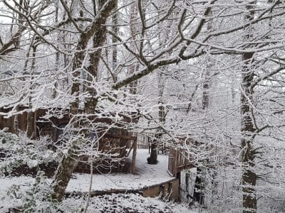 Cabane perchée dans les arbres, entourée de neige et de branches enneigées.