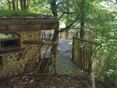 Cabane en bois avec toit végétal, entourée dune forêt verdoyante à Limousin.