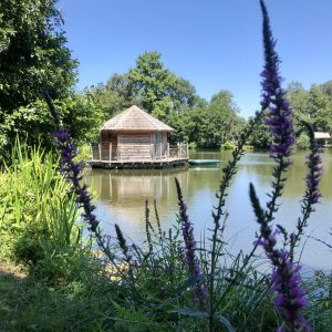 Cabane flottante en bois au bord dun lac, entourée de verdure et de fleurs.