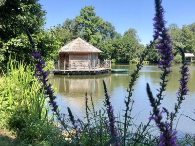 Cabane flottante en bois au bord dun lac, entourée de verdure et de fleurs.