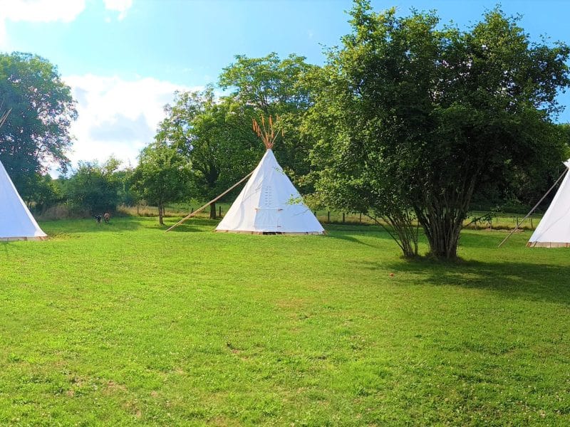 Tipis blancs sur un vaste terrain verdoyant à Champagne-Ardenne.