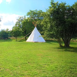 Tentes tipis blanches sur un vaste terrain verdoyant à Champagne-Ardenne.