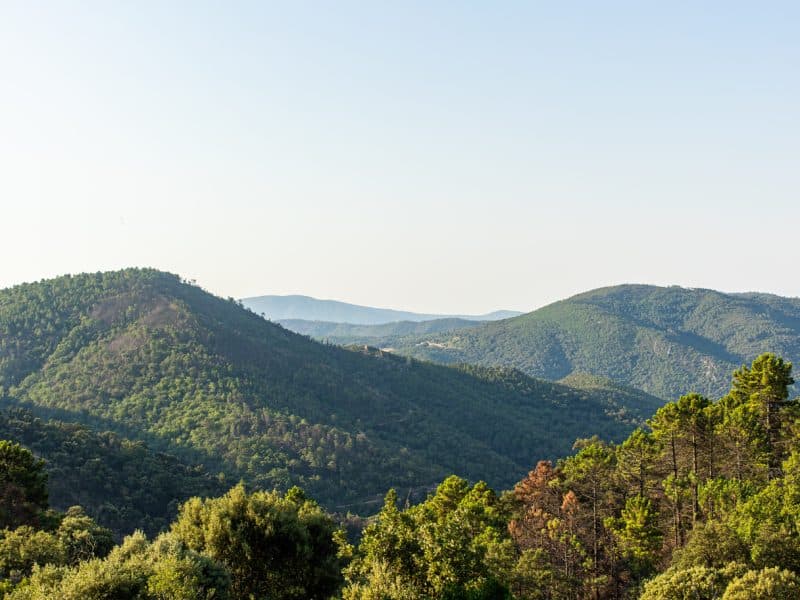 Vue panoramique depuis un chalet en montagne, entouré de verdure luxuriante.
