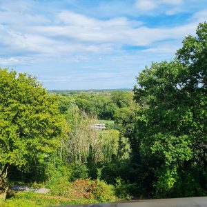 Hébergement insolite en Bourgogne-Franche-Comté avec vue panoramique sur la nature verdoyante.