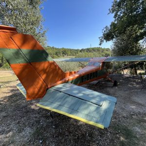 Hébergement insolite dans un avion coloré, entouré de verdure en Languedoc-Roussillon.