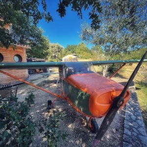 Hébergement insolite : un avion transformé en gîte, entouré darbres verdoyants.