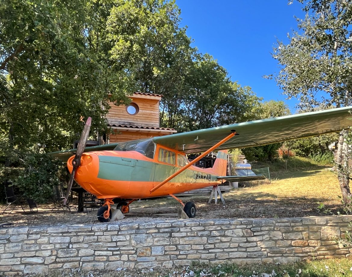 Hébergement insolite : avion coloré transformé en gîte, entouré darbres verdoyants.