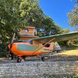 Hébergement insolite : avion coloré transformé en gîte, entouré darbres verdoyants.