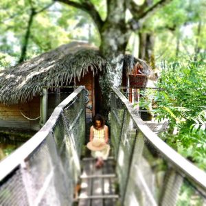 cabaen feuilles réduite