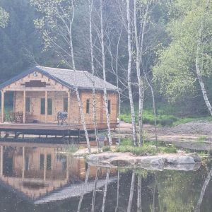 Cabane en bois au bord dun étang, entourée de verdure et de bouleaux.