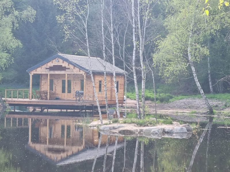 Chalet en bois au bord dun lac, entouré darbres et de verdure.