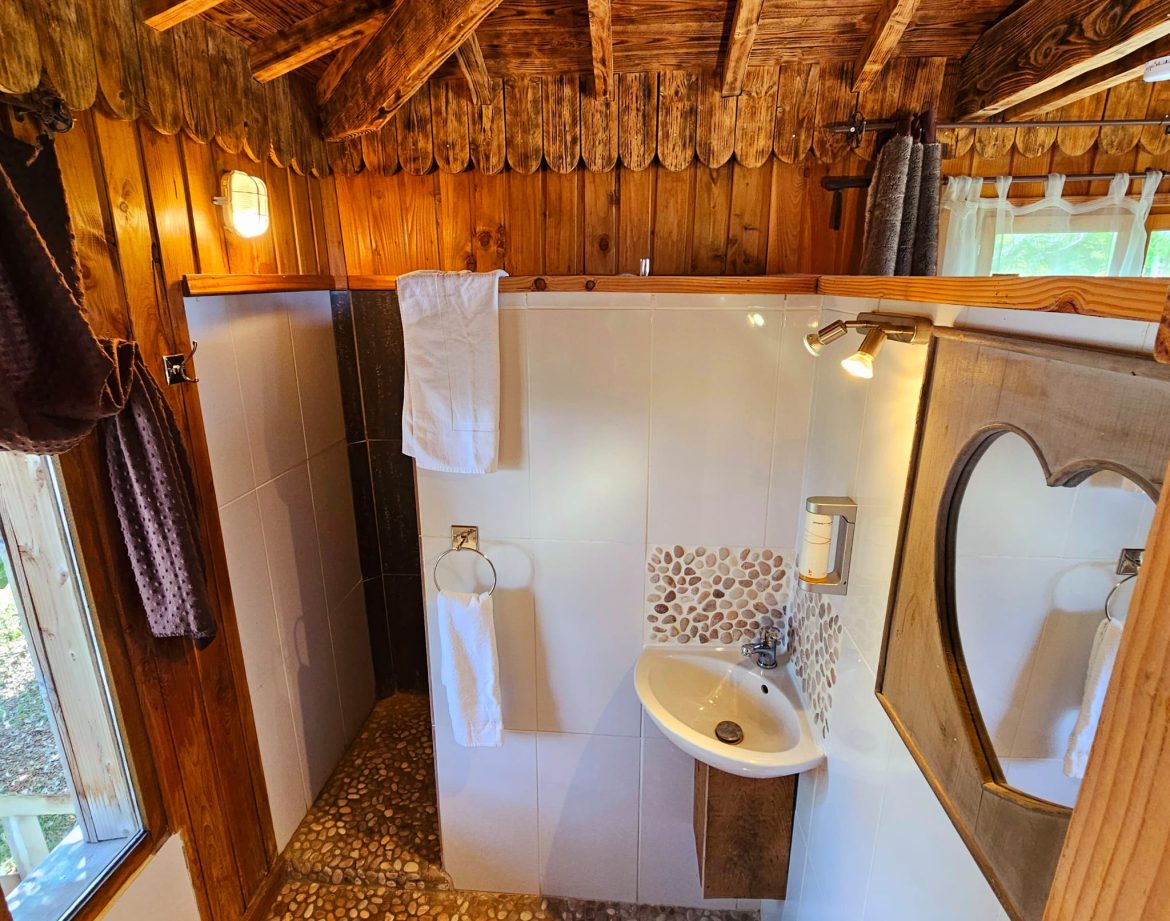Cabane en bois avec salle de bain moderne et décor chaleureux à Hauts-de-France.