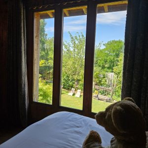Chalet en bois avec vue sur un jardin verdoyant et un ours en peluche sur le lit.