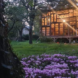 Cabane en bois à Nouvelle-Aquitaine, entourée de fleurs violettes et éclairée le soir.