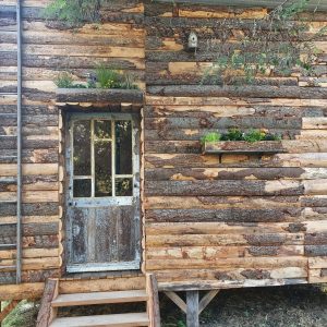 Cabane en bois dans la nature, avec une porte en bois rustique et des plantes décoratives.