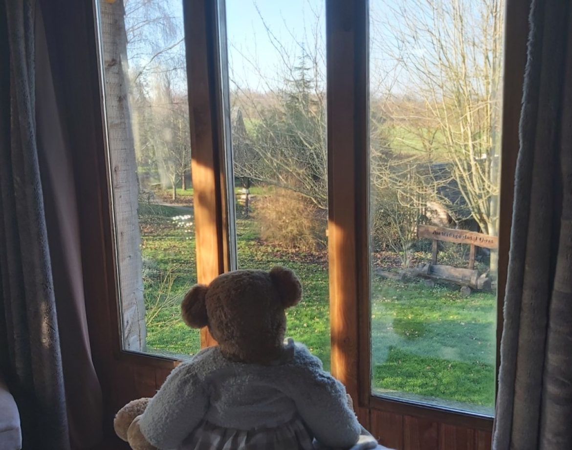 Cabane en bois avec vue sur la nature, un ours en peluche sur le fauteuil.